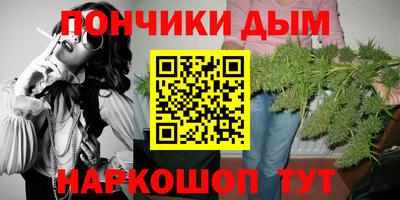индика Анжеро-Судженск