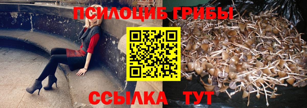закладка  Галлюциногенные грибы мицелий  Псилоцибиновые грибы мухоморы  Вход с VPN  Оренбург 
